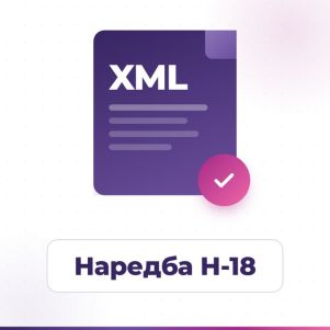 НАП одиторски файл