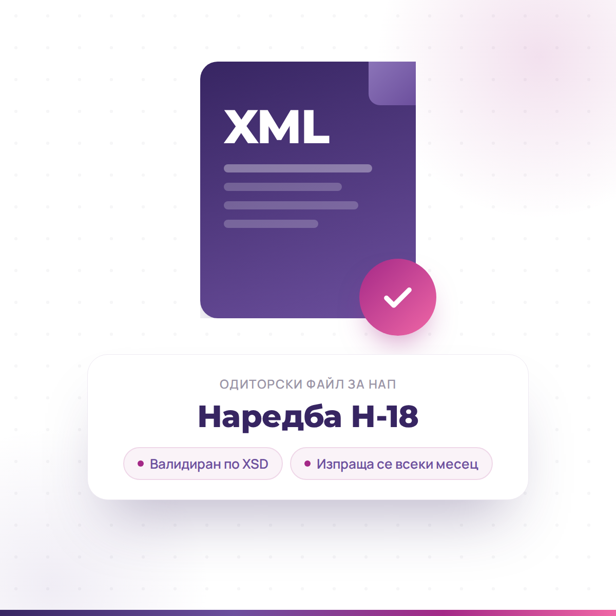 НАП одиторски файл